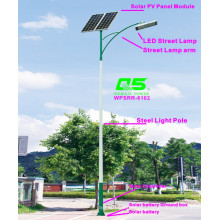 WPSRR-8102 3~15m Municipal Road Hot DIP Galvanized Steet Light Pole style